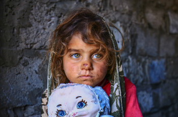 humanitarian support