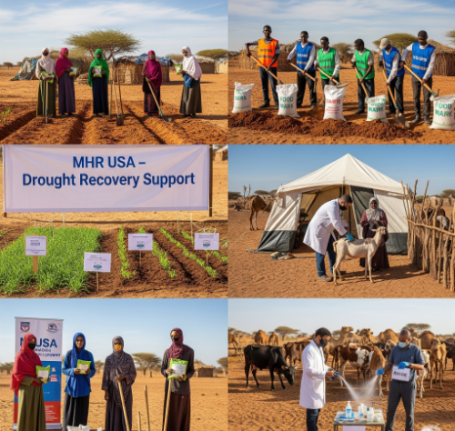 Kenya – Climate Shock in the Horn of Africa
